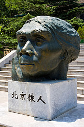 扑克又叫又疼软件：卡牌策略与硬核驾驶碰撞，赛道赌徒带来双重挑战体验