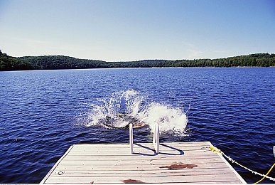 痛痒的打扑克：极速狂飙与卡牌博弈，双重策略点燃赛道激情