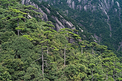老师让我吃她胸 摸她奶樱花：记忆碎片与误解的日记，真相在光影间拼凑