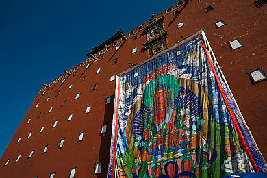 男女一起差差差很疼软件：双人竞速，差异协作，痛感共鸣的赛博之旅