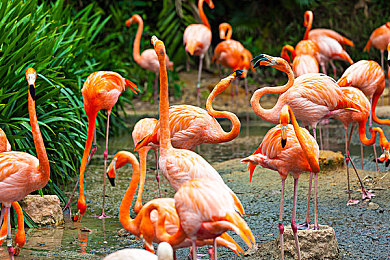 男男gayxxxx：双人共驭，极速同心，默契竞速新纪元