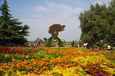 河南乱子伦视频国产：国产赛车新作引爆热议，深度解析极速风云独特道路体验