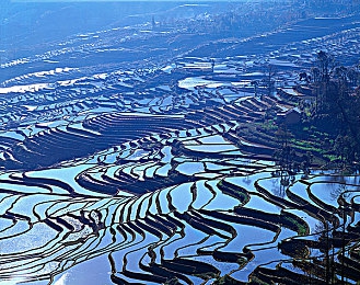 中日一区二区三区：极速穿梭，东方山水都市与海岸的竞速诗篇