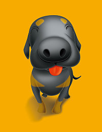 中韩三级：竞速新纪，东方美学与未来科技的极速交响诗