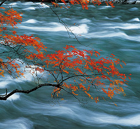 男生和女生差差差还很疼的app：极速狂飙新作上线，性别差异物理引擎带来真实驾驶挑战