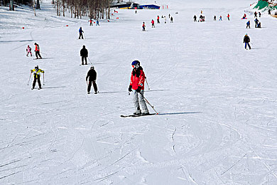 不知火舞和三个小孩在森林公园有图有真相：格斗家温情之旅，经典角色开启开放世界新冒险