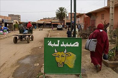 四川女大战黑人40厘米：霓虹峡谷极限竞速，悬崖间的毫米级生死漂移对决