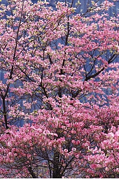 老婆第一次尝试3p：家庭竞速新体验，三人同屏共享驾驶乐趣