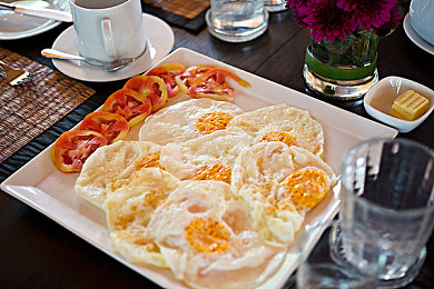 不知火舞和三个小孩在森林公园有图有真相：格斗家温情之旅，经典角色开启开放世界新冒险-2