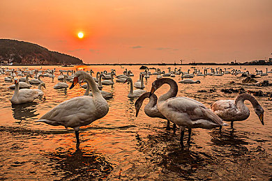 91n吃瓜：在墨西哥的狂飙与驻足，体验地平线5的多元竞速之旅-2