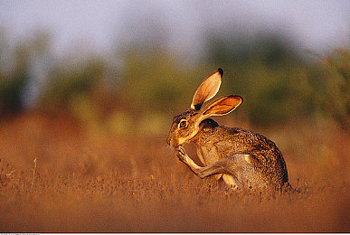 男生女生一起差差差2023：双人协同驾驶新纪元，动态协作征服极限赛道