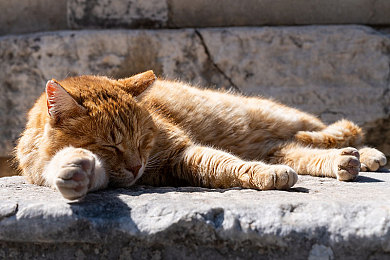 天天射天天操天天舔：极致操控，氮气爆发与完美走线，重塑硬核赛车游戏体验
