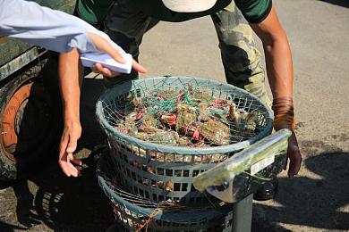 软件下载3.0.3OPPO版破解大全苹果：极速征途，解锁真实驾驶技艺的终极挑战-1