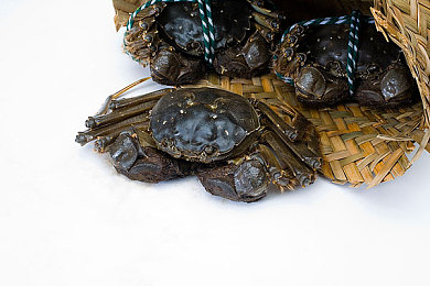 东京app：霓虹都市竞速新作发布，极致改装与动态东京引爆驾驶狂潮