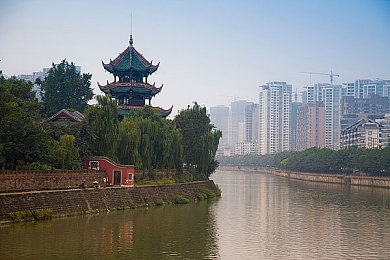 桃花直播：春日竞速节，在极限竞速地平线5中驶入花海赛道