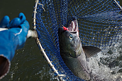 男的操女的APP:极速狂飙性别对决上线,深度改装与动态天气颠覆竞速体验-1