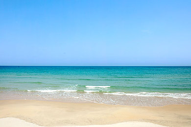 成人Aⅴ：霓虹深渊，速度与抉择的赛博迷城