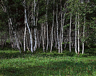 双人扑克又疼又叫直接进入：极速牌局飙车对决今日上线，双重玩法引爆竞技狂潮-1