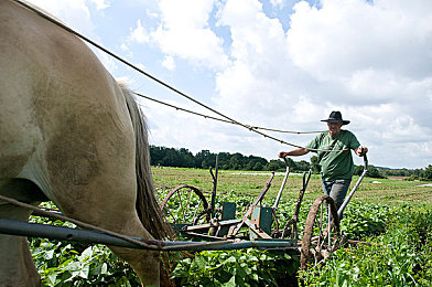 男叉女软件：双轨竞速，切换驾驭，超越性别符号的赛道哲学-2
