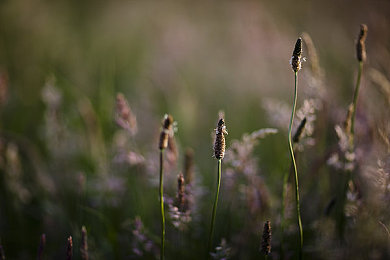 打赌输了被全班人玩胸:极速学园上演尊严对决,校园赌约驱动街头狂飙-2