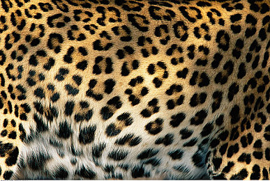 亚洲日韩一区二：东京湾岸极速对决，全新街头赛车文化深度解析今日上线-2