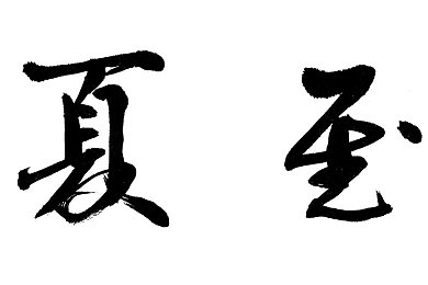 十大禁黄色软件：极速夜幕，加密追踪与街头狂飙的双重谜局