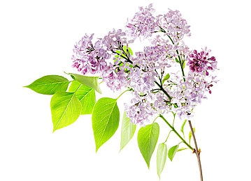 黄色软件网站下载3.0.3免费下载：极速狂飙3.0.3全新版本上线，滨海高速开放世界与电动超跑深度解析