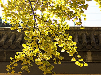 按一摩一性一交：沉浸驾驶新纪元，手握真实赛道触感革命-1