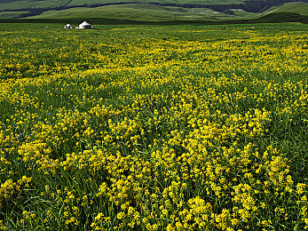亚洲欧美综合区：极速融合全球街道，体验跨文化竞速的终极幻想-4