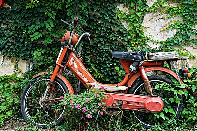 性别自由凸轮管西元点性别转换攻略:意识重塑,未来身份抉择之旅-3