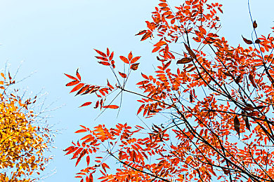 世界十大禁黄软件：《网络净化者》今日上线，竞速追击数据公路十大终极恶意程序-2