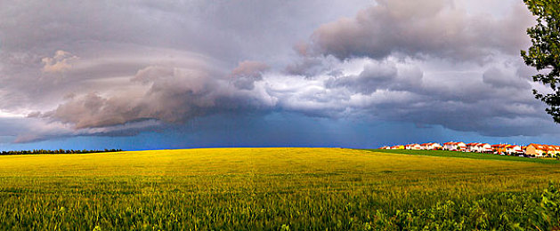 黄色软件APP下载3.30：极限竞速地平线5视觉增强参数，打造专属你的璀璨画质体验