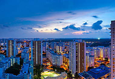 黄色app在线：极速幻影，霓虹峡谷中的未来竞速美学-2