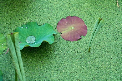 三上悠亚一区：虚拟偶像与极速狂飙，双重体验开启竞速新纪元