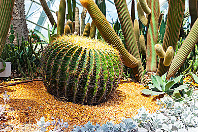 黄色软件安装下载3.03：极限竞速地平线5隐藏涂装秘密任务，资深玩家揭秘独特解锁流程