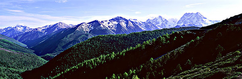 麻花传mdr免费版国语：当驾驶遇上荒诞，一场笑料不断的虚拟竞速冒险-2