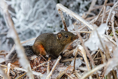 男女一起努力生产豆浆两小时线上：模拟经营新作上线，双人协作共筑田园机车梦