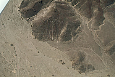 《卡在洗衣机里的女孩》电视剧：旋转齿轮的家族秘密与蒸汽迷踪