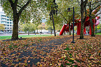 性情网站:在墨西哥风驰电掣,打造你的专属汽车人格-2