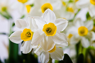 99热b:街头改装新作引爆热潮,真实机械风险与霓虹竞速的终极平衡-4