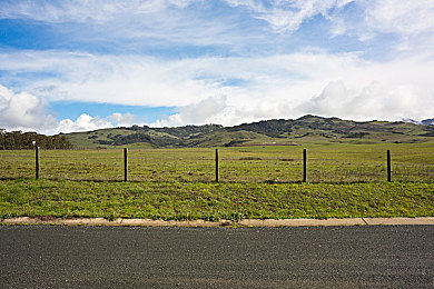 aqdyen社保片:极速车间,从零到冠的拟真驾驶传奇-3