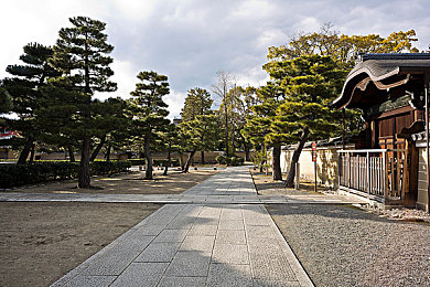 男生和女生一起差差的APP大全：双人竞速新境界，差异协作驾驶艺术之旅