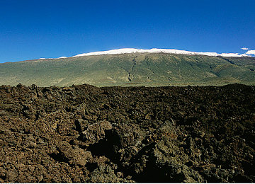 男生肏女生软件：极速交锋，阵营竞速，虚拟赛道上的性别对决-3