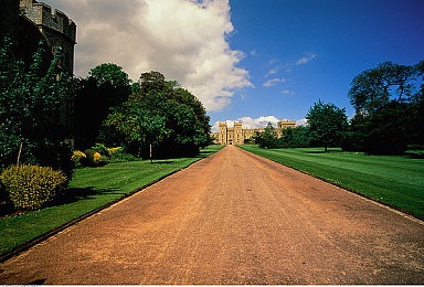 西元自由成熟性别：赛博纪元，人车共生，自定义的无限可能