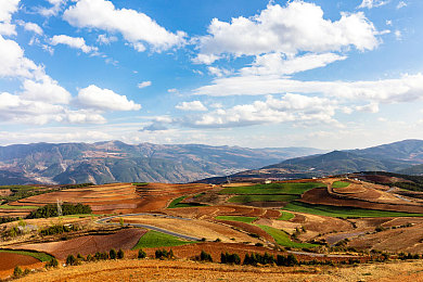 Gay_Fuck_Porn_Tube_Tv猛男：霓虹城速度传奇，地下车手冠军之路