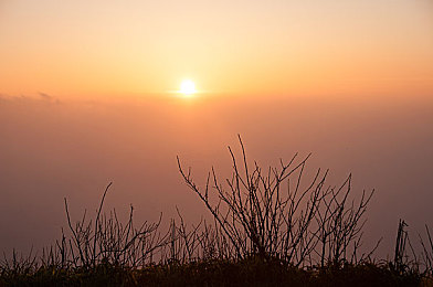 双人打扑克运动：极速狂飙，智斗牌局，体验策略与竞速的巅峰对决