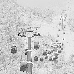 直播看片app：在极限竞速地平线5中打造你的移动直播车，体验驾驶与分享新潮流