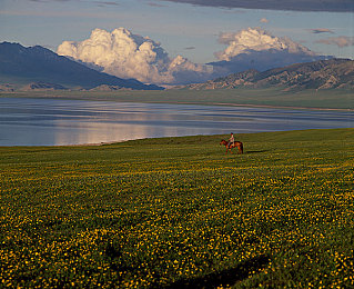 亚洲区v：东方极速传说，霓虹雨夜与弯道艺术的交响诗篇-2