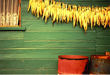 女人与公豬交交酡:狂野竞速新作发布,深度改装与本能驱动颠覆赛道体验-2