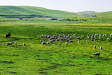 国产av看片：极速光影交织，未来都市竞速传奇之旅